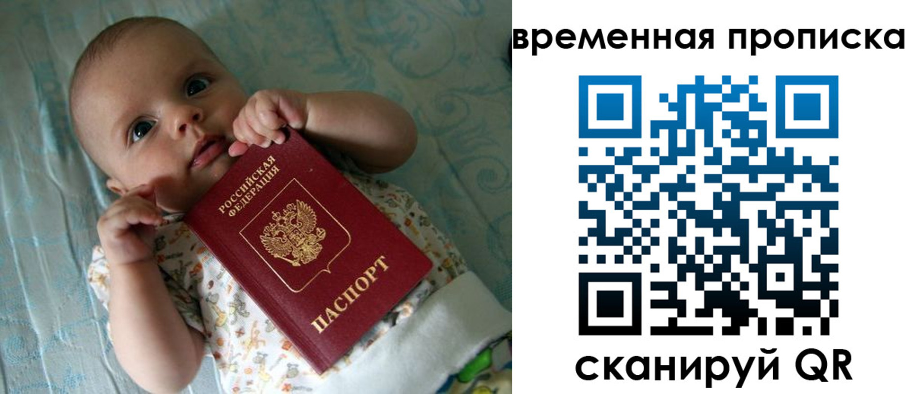 найти адрес прописки в Вологодской области