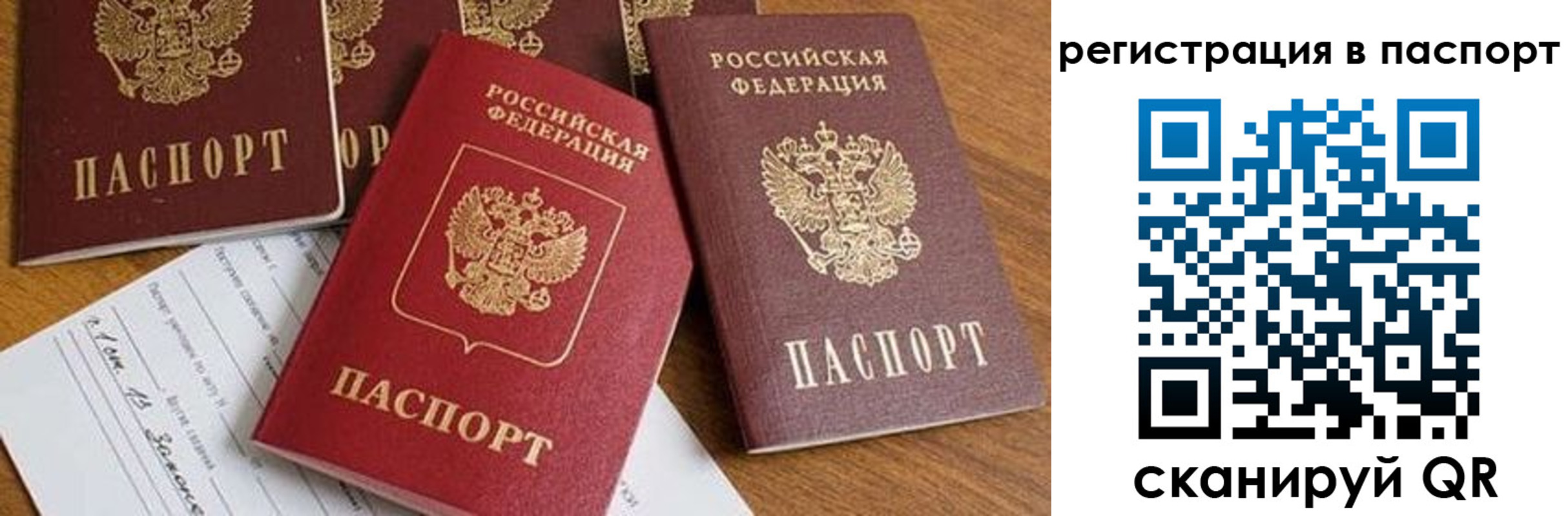 прописка в Вологодской области